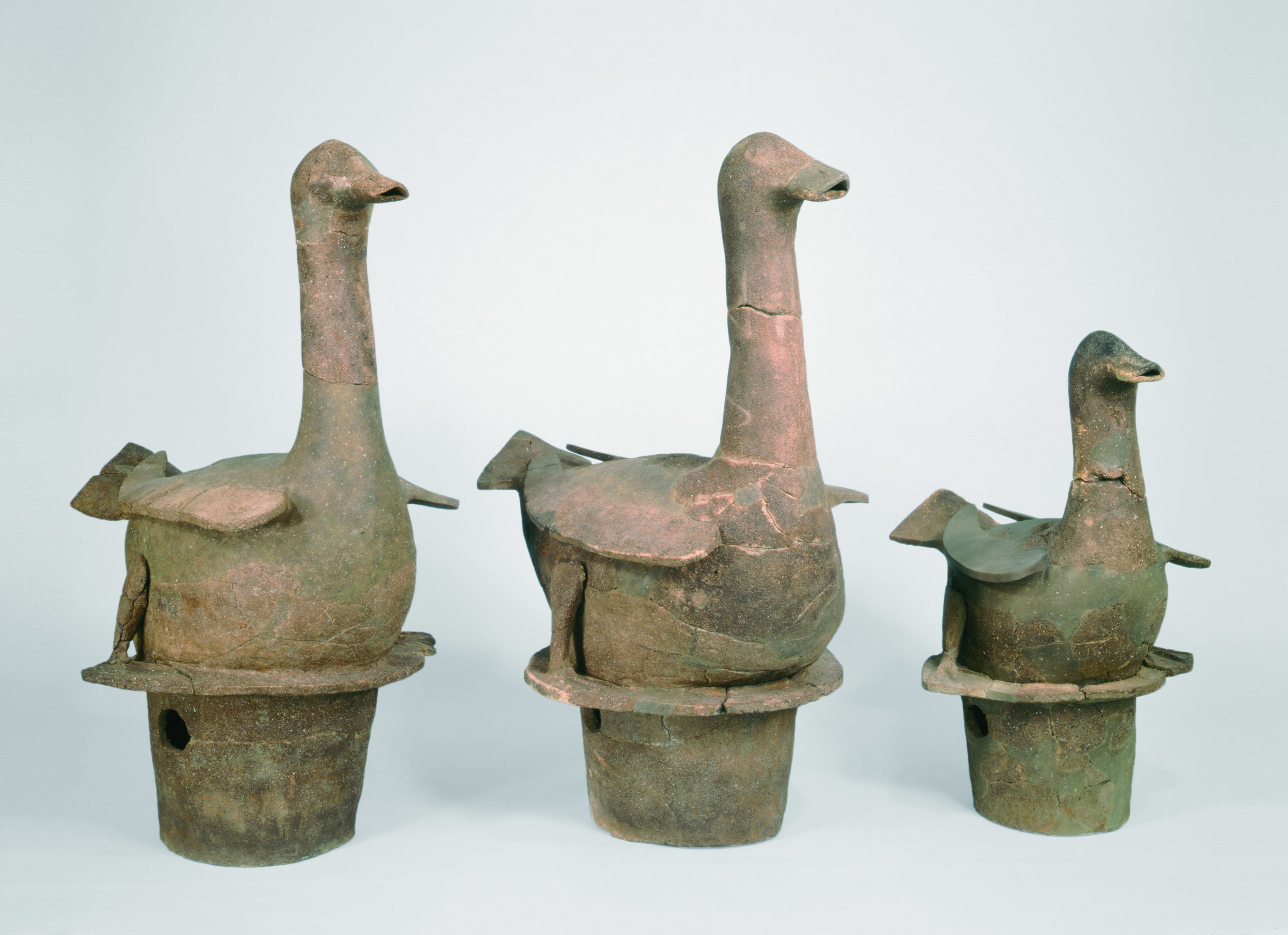 🏛️ 쓰도 시로야마 고분(쓰도시로야마 고훈) (후지이데라 능묘 참고지(후지이데라 료보산코치)) 이미지 5